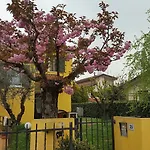 B&B Alle Betulle